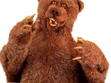Vernon the Grizzly Bear