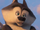 Classified (Penguins of Madagascar)