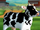 Cow (VinciGenius)