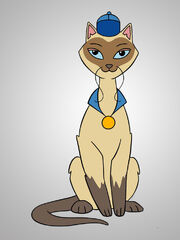 Sagwa-the-chinese-siamese-cat-4.jpg
