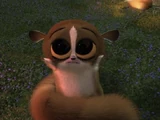 Mort (Madagascar)