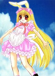 Berry Shirayuki