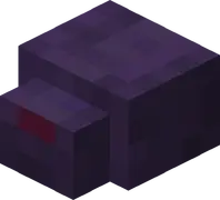 Endermite