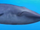 Whale (Wonder Pets)