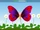 Butterfly (Appuseries)