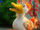 Duck (Sesame Street)