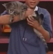 Barney & Friends Tiger