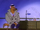 Ace Hart