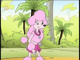 Penelope the Poodle.jpg