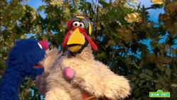 Grover pushes Humongous Chicken to make him/her peddle on the bike and then it crashes.