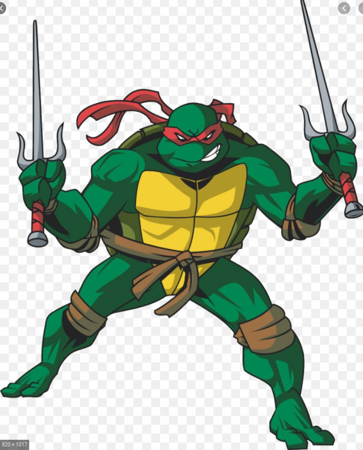 Raphael (Teenage Mutant Ninja Turtles, 2003) - Incredible Characters Wiki