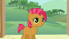 Latest (3)-1420153802.png