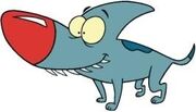 Sharky the shark dog.jpg