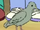 Pigeon (Arthur)