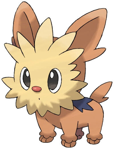 Lillipup.jpg