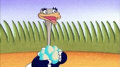 Audrey the Ostrich