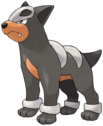 Houndour