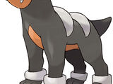 Houndour