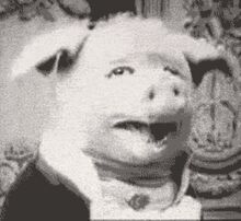 Dancing pig.jpg