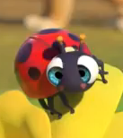 CoComelon Ladybug
