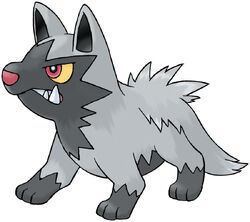 Poochyena.jpg