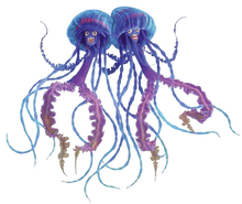 5c62c135e4b8dd029ff25b0d.png