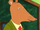 Nigel Ratburn