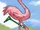 Flamingo (Braintofu)