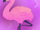 Flamingo (CoComelon)