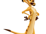 Timon
