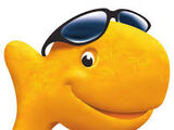 Finn (Goldfish)