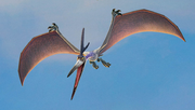 Thunderclap 1.png