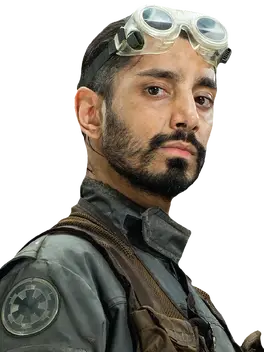 Bodhi Rook Fathead