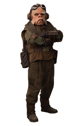 Male Uganaught Kuiil.png