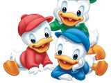 Huey, Dewey and Louie Duck