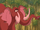 Tantor the Elephant