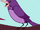 Purple Bird