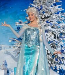 Elsa DLP