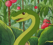 Nofeet.png
