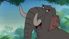 Colonel hathi