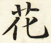 花 字典 Wiki Fandom 花 字典 Wiki Fandom