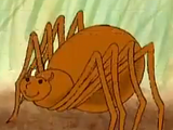 Spider (Diary of a Worm)