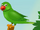 Parrot (AppuSeries)
