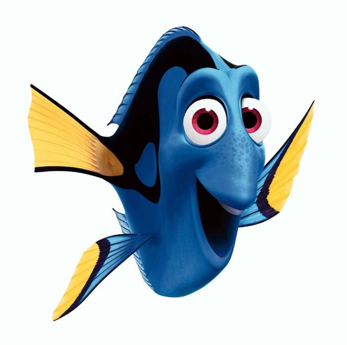 short term memory dory