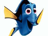 Dory