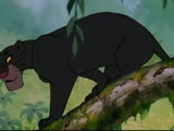 Bagheera