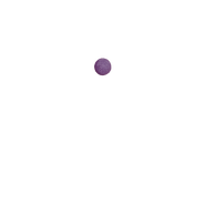 Purple Round Nose