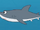 Great White Shark (Little Fox)