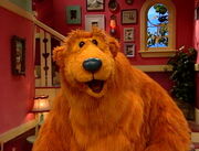Bear
