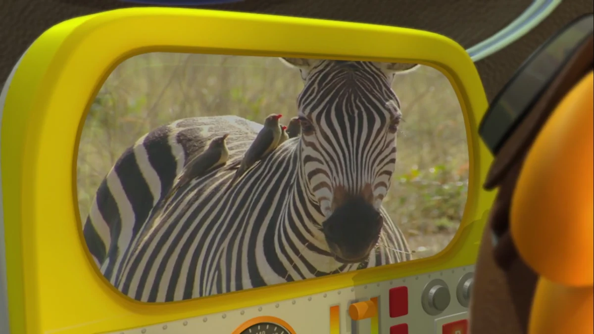 Zebra (Kemy Expedition) Fictional Characters Wiki Fandom